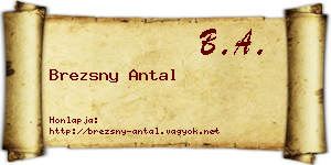 Brezsny Antal névjegykártya